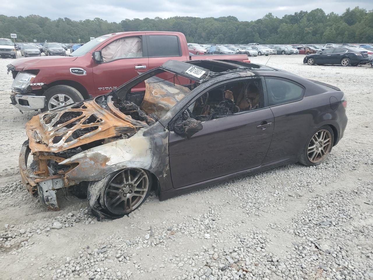 2008 TOYOTA SCION TC  2008 image