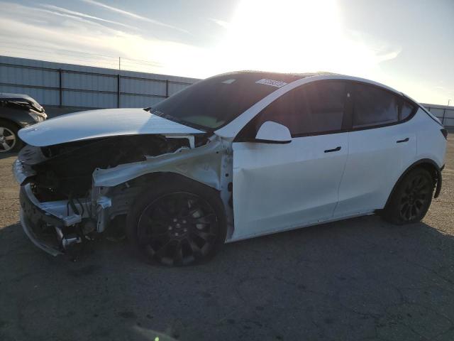 2023 TESLA MODEL Y  2023 image