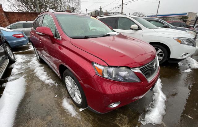 2010 LEXUS RX 450 2010 image