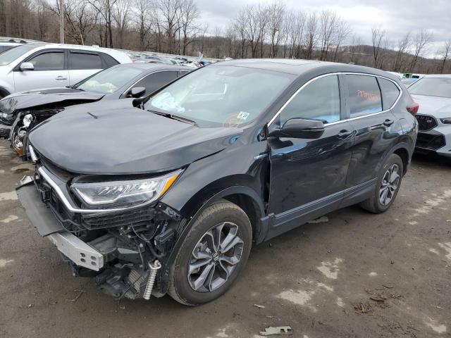 Image 1 of 2022 HONDA CR-V EXL 2022 with VIN 5J6RT6H80NL042986