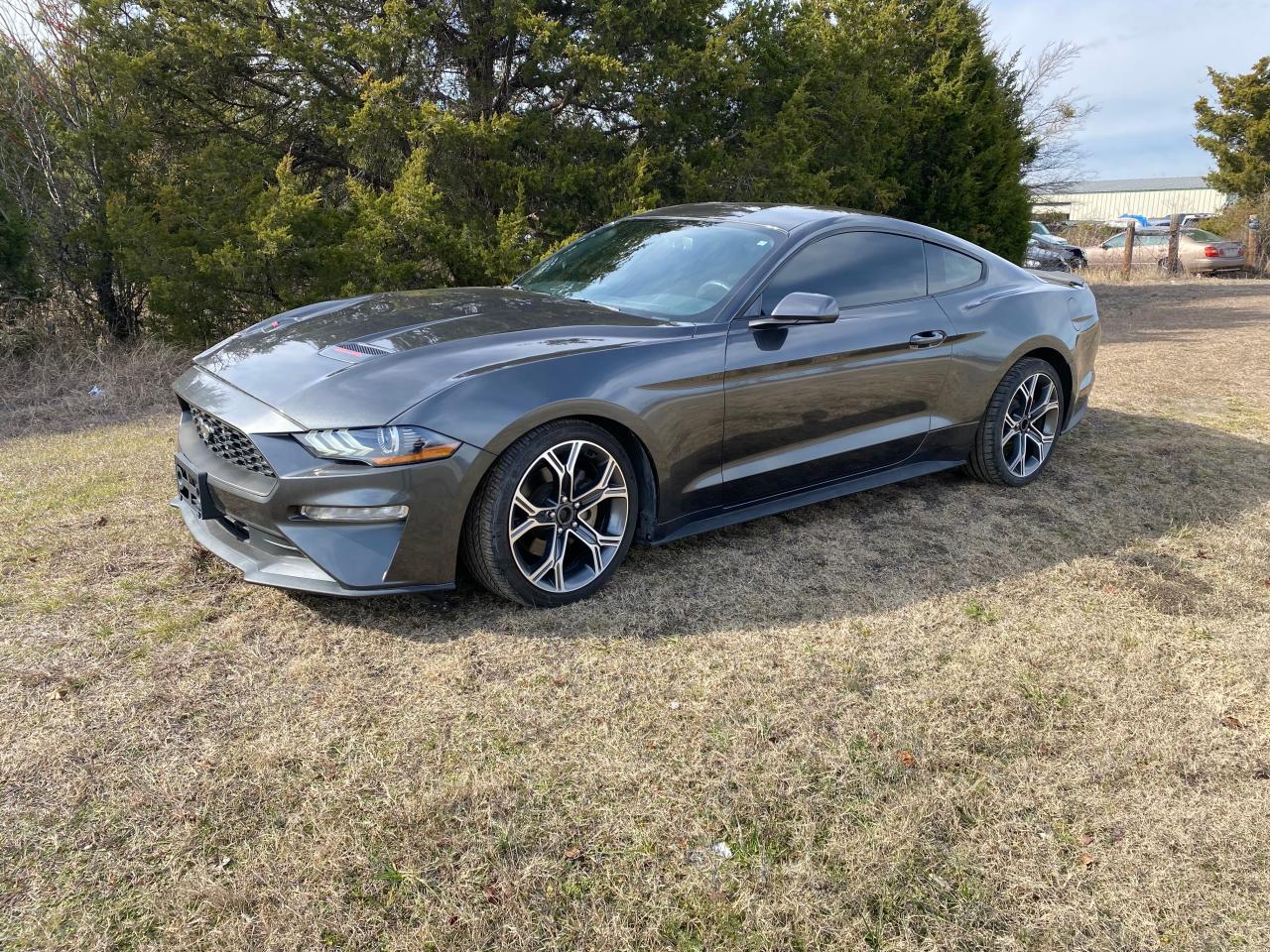 Изображение 2 2019 FORD MUSTANG  2019 с VIN 1FA6P8TH5K5105926