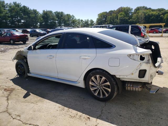 Obraz 2 z 2017 HYUNDAI SONATA SPORT 2017 z VIN 5NPE34AF9HH499676