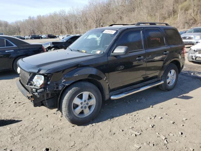 2010 FORD ESCAPE XLT 2010 image