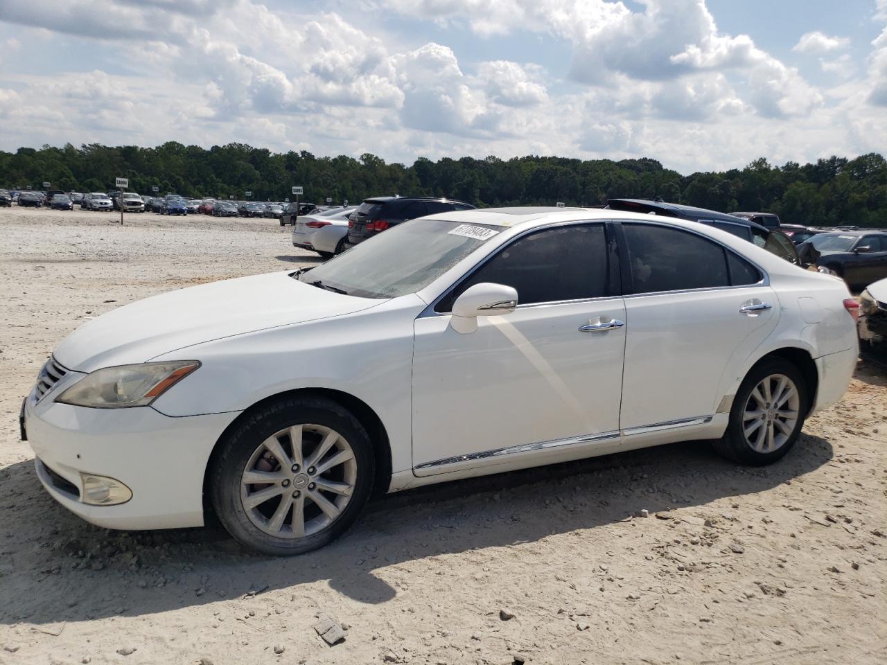 Obraz 2010 LEXUS ES 350 2010