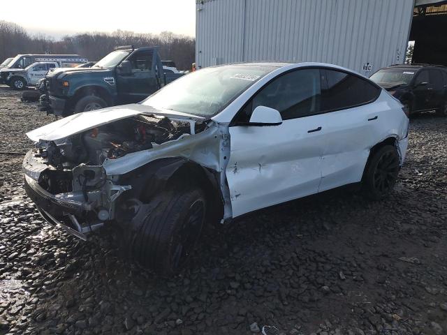 2023 TESLA MODEL Y  2023 image
