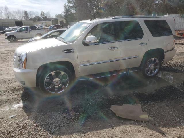 Obraz 2012 CADILLAC ESCALADE LUXURY 2012