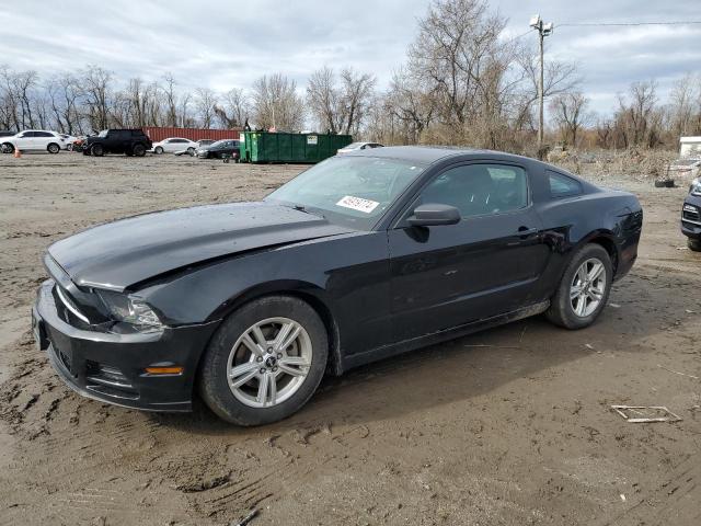2014 FORD MUSTANG  2014 image