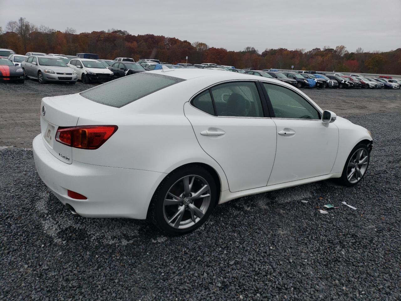 Изображение 3 2010 LEXUS IS 250 2010 с VIN JTHBF5C20A2095150