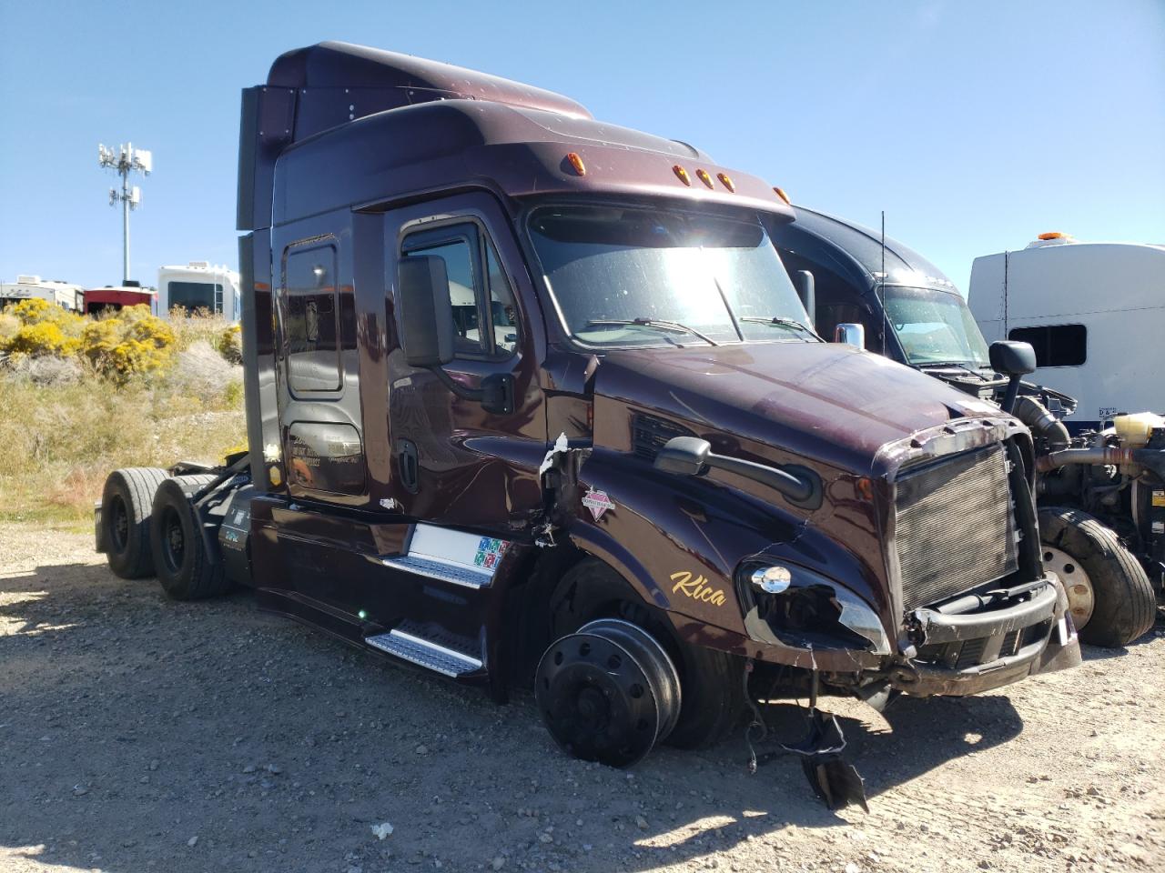 2019 FREIGHTLINER CASCADIA 113  2019 image