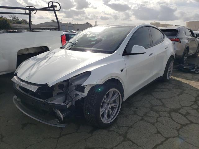 2022 TESLA MODEL Y  2022 image