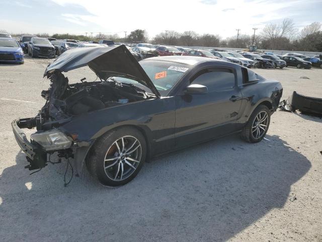 2014 FORD MUSTANG  2014 image