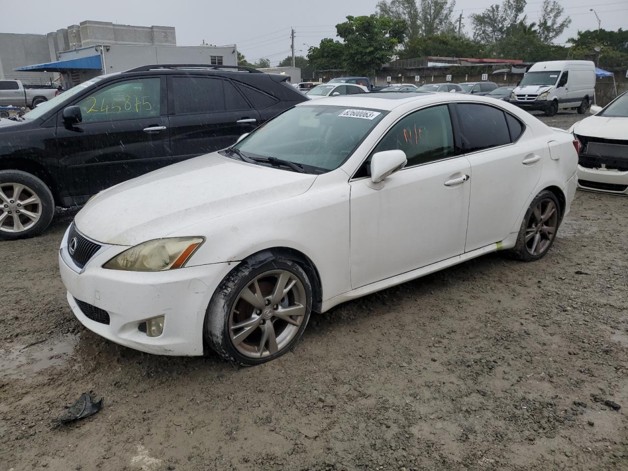 2009 LEXUS IS 250 2009 image