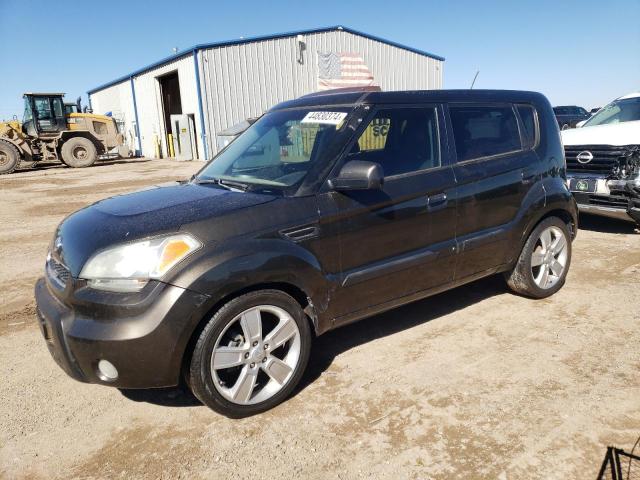 2010 KIA SOUL + 2010 image