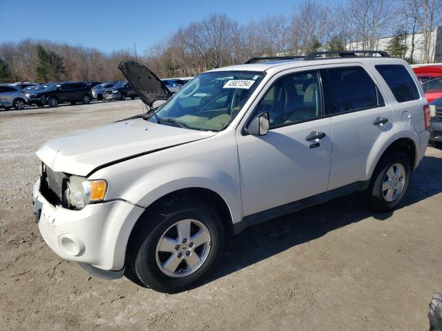 Image 1 of 2011 FORD ESCAPE XLT 2011 with VIN 1FMCU0DG1BKA65404