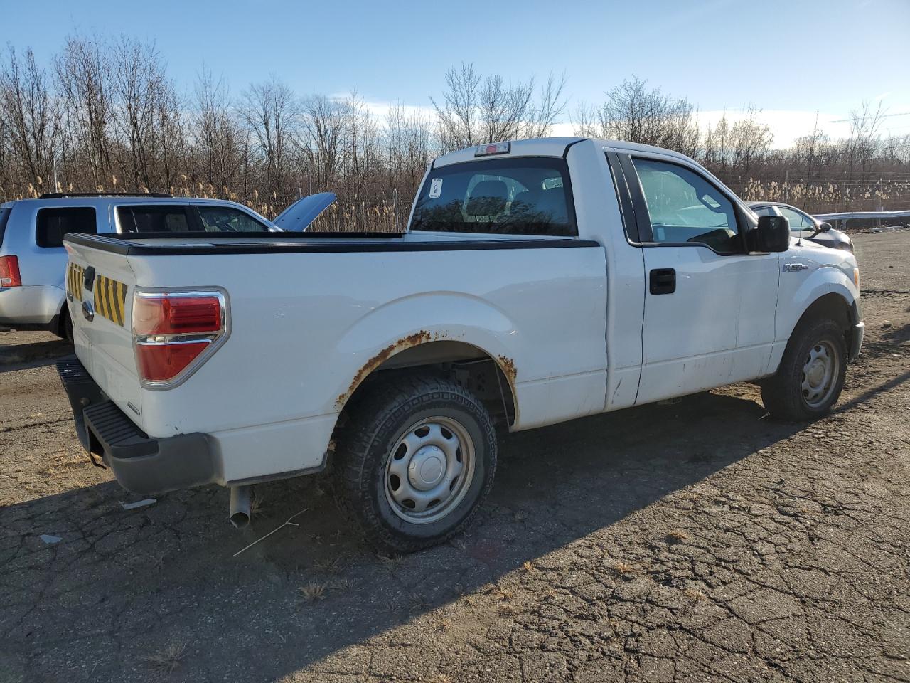 Obraz 3 z 2013 FORD F150  2013 z VIN 1FTMF1CM9DKG34079
