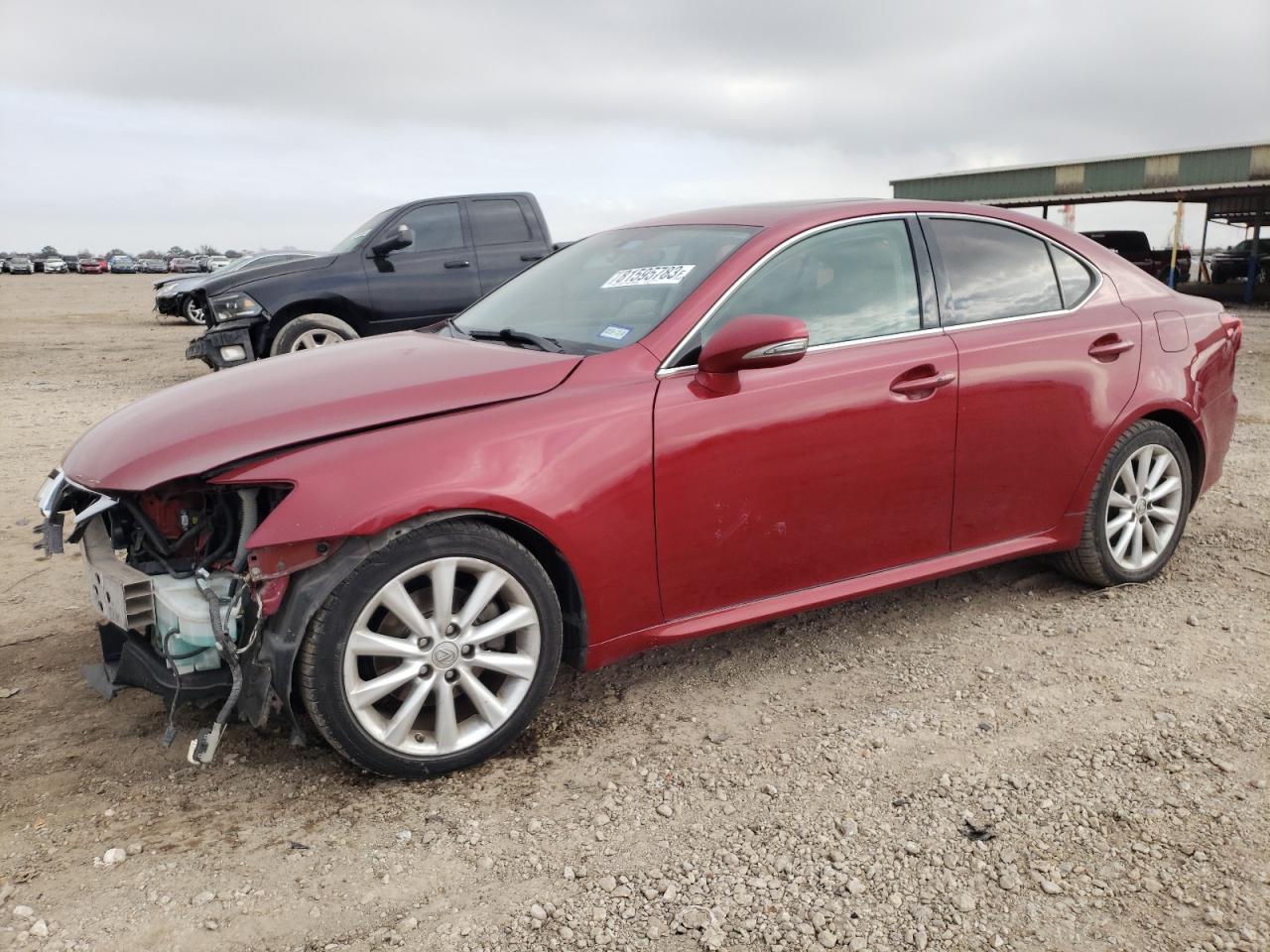 2009 LEXUS IS 250 2009 image