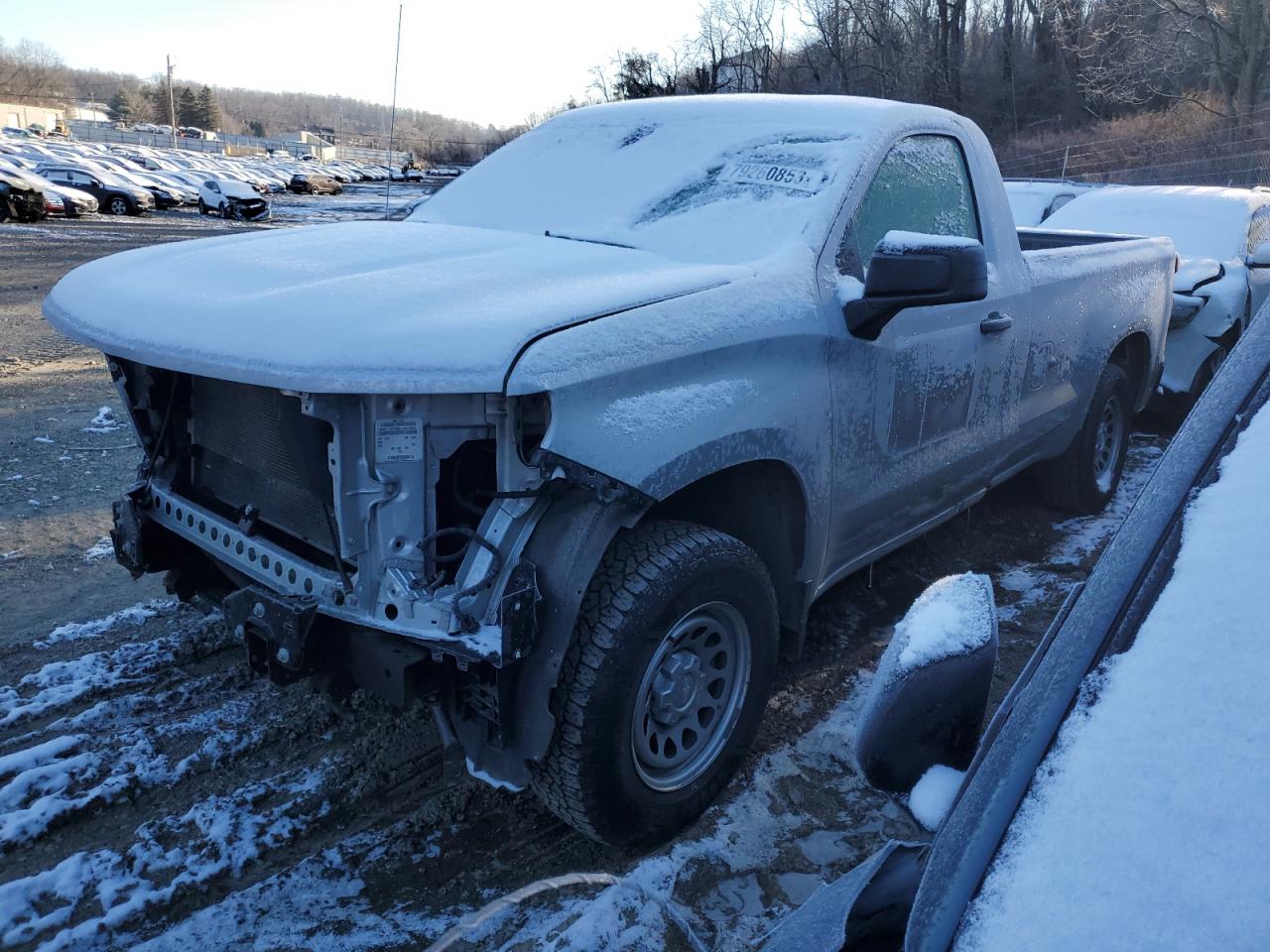 2020 CHEVROLET SILVERADO C1500 2020 image