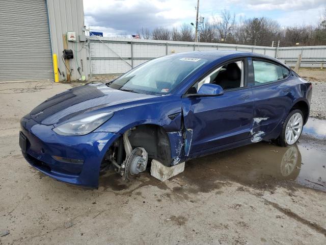 2023 TESLA MODEL 3  2023 image
