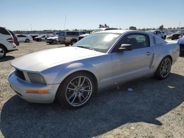 2006 FORD MUSTANG  2006 image