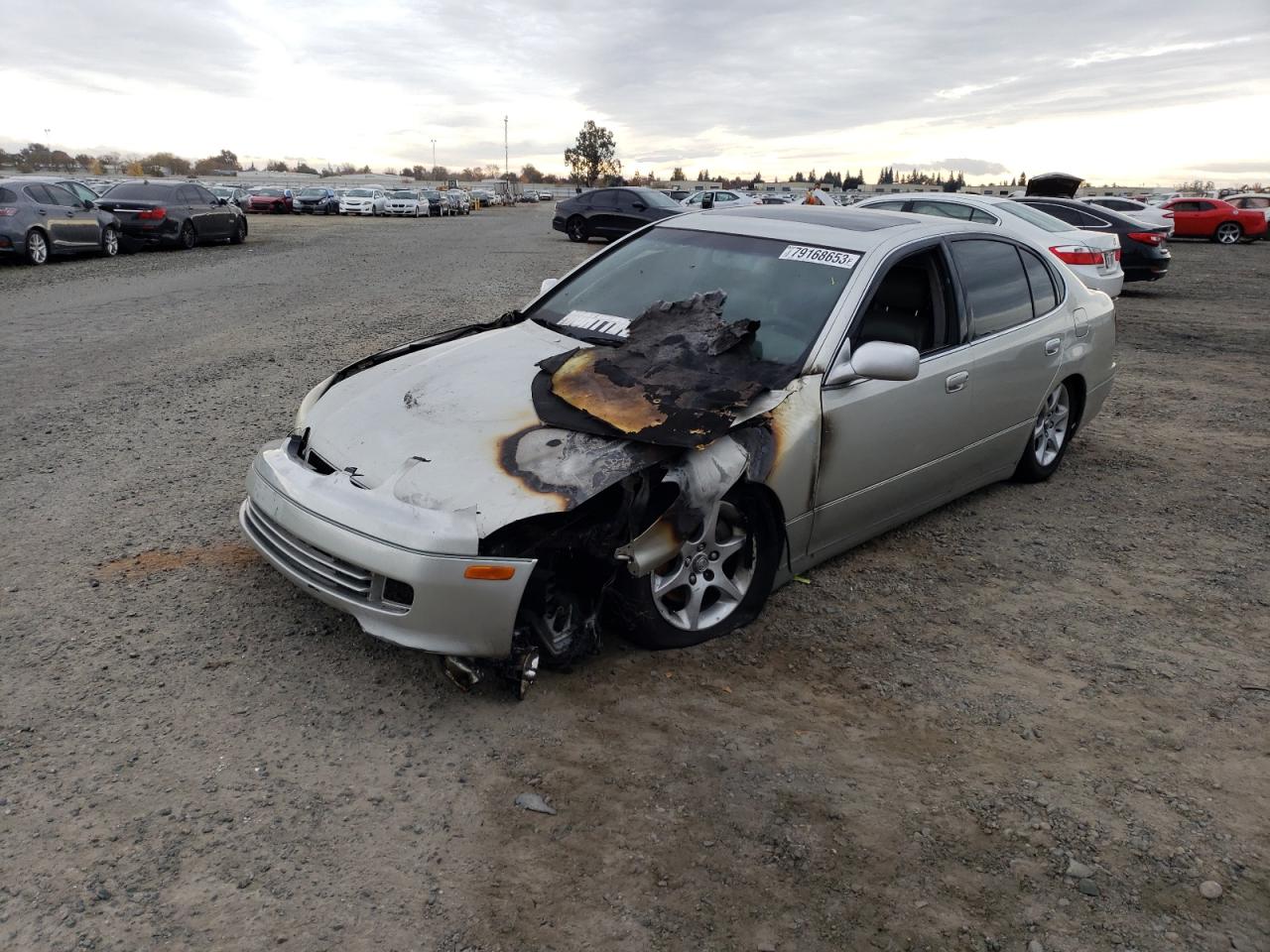 2004 LEXUS GS 300 2004 image