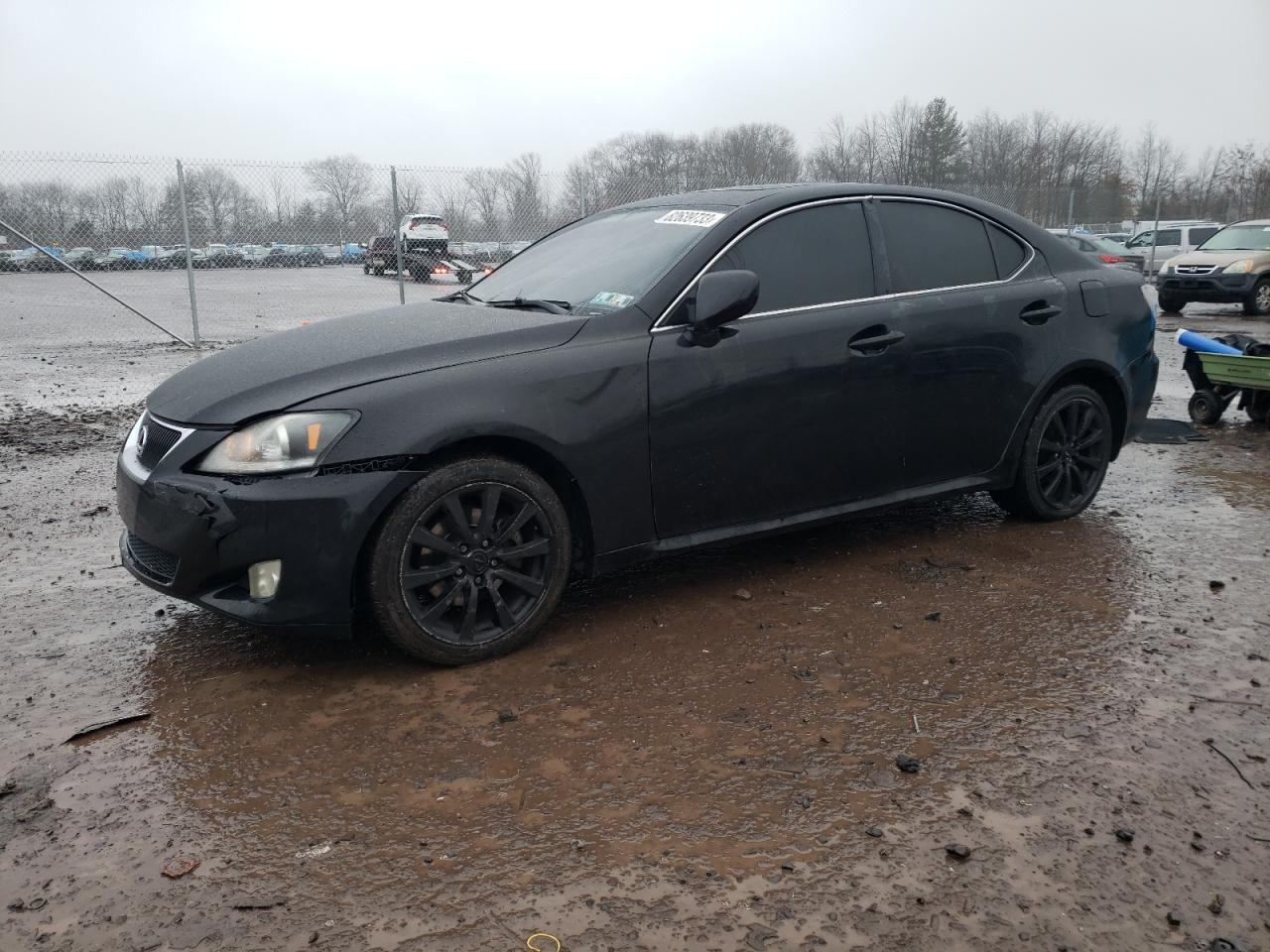 2008 LEXUS IS 250 2008 image