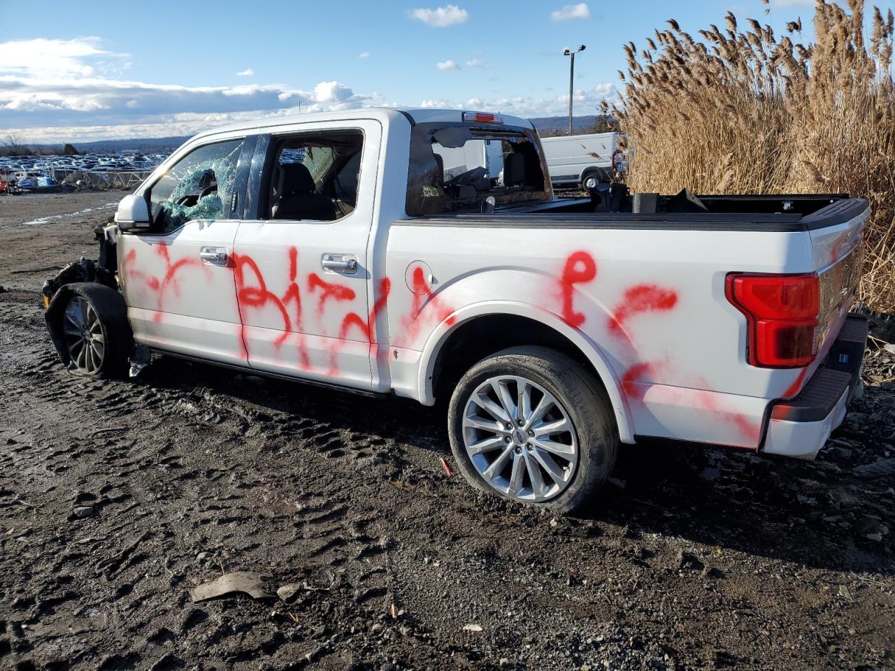 Image 2 of 2020 FORD F150 SUPERCREW 2020 with VIN 1FTEW1EG8LFC70109
