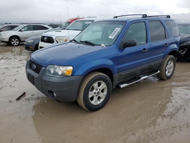 2007 FORD ESCAPE XLT 2007 image
