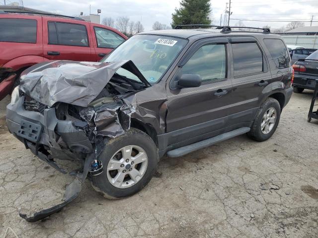 2006 FORD ESCAPE XLT 2006 image