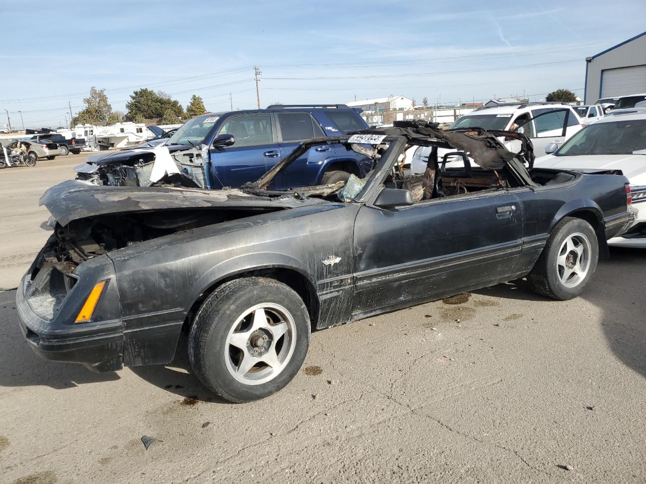 Obraz 1 z 1984 FORD MUSTANG GLX 1984 z VIN 1FABP27M8EF123032