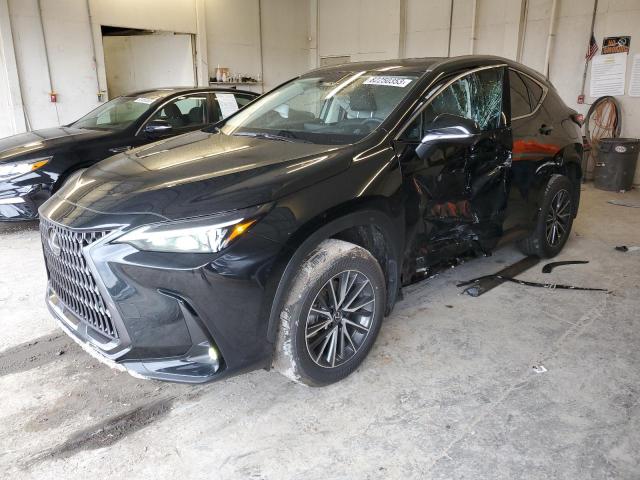 2024 LEXUS NX 350H BASE 2024 image