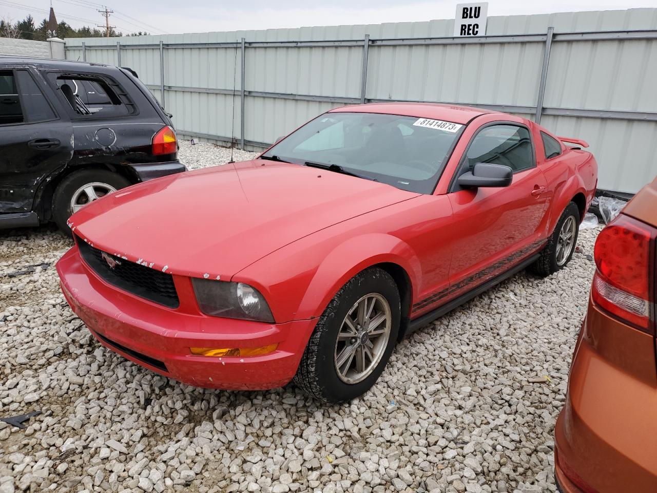 2005 FORD MUSTANG  2005 image