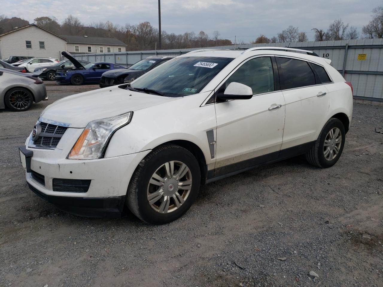 2011 CADILLAC SRX LUXURY COLLECTION 2011 image