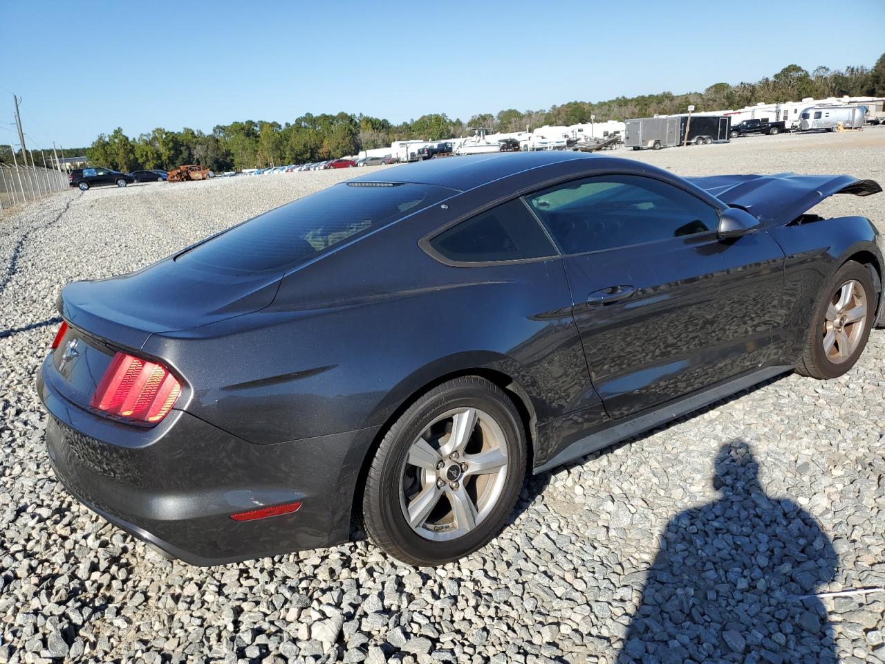 Obraz 3 z 2016 FORD MUSTANG  2016 z VIN 1FA6P8AM4G5302884