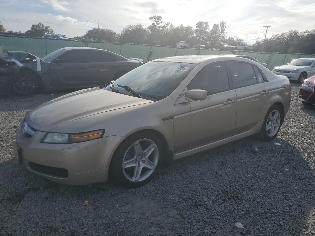 Obraz 2006 ACURA 3.2TL  2006