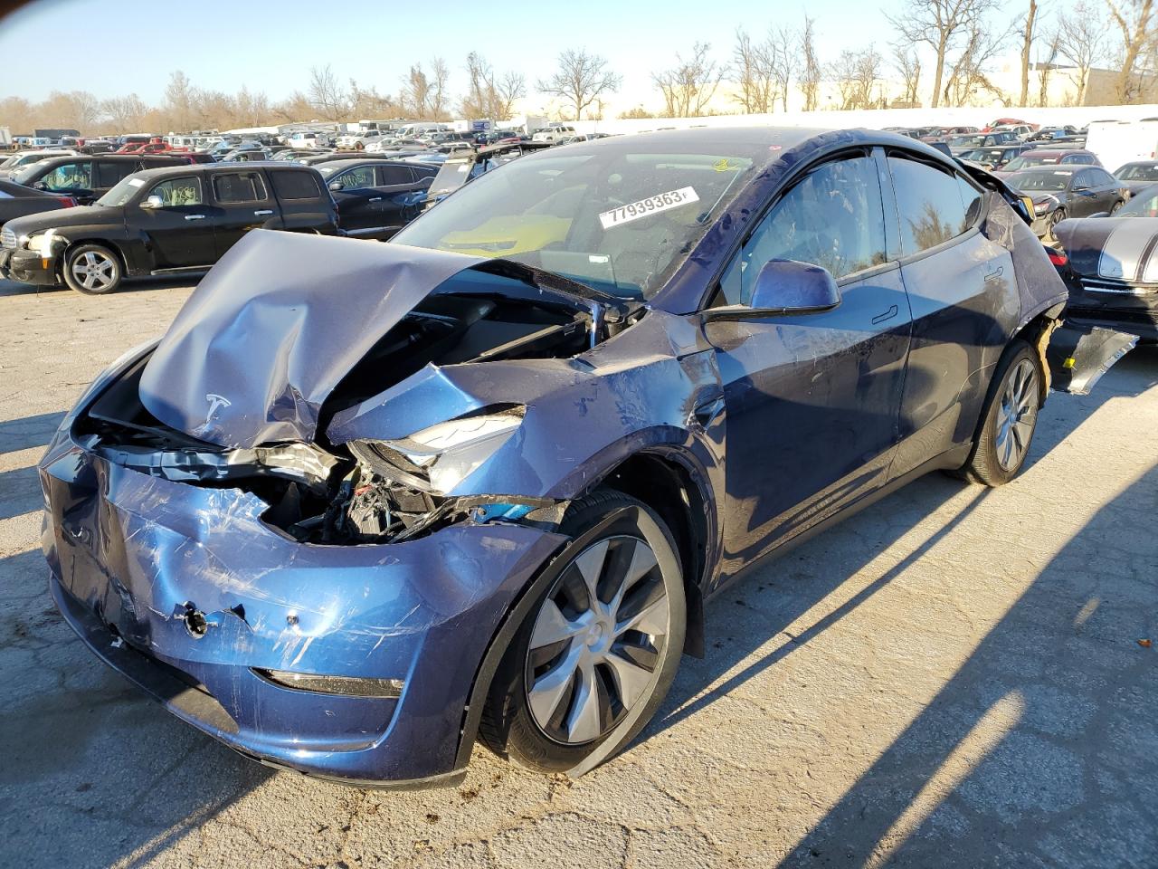 2023 TESLA MODEL Y  2023 image