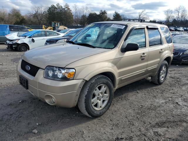 2007 FORD ESCAPE LIMITED 2007 image