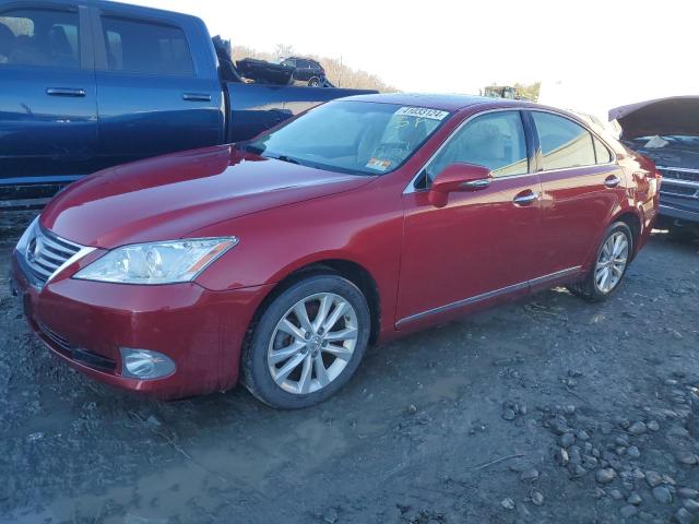 2010 LEXUS ES 350 2010 image