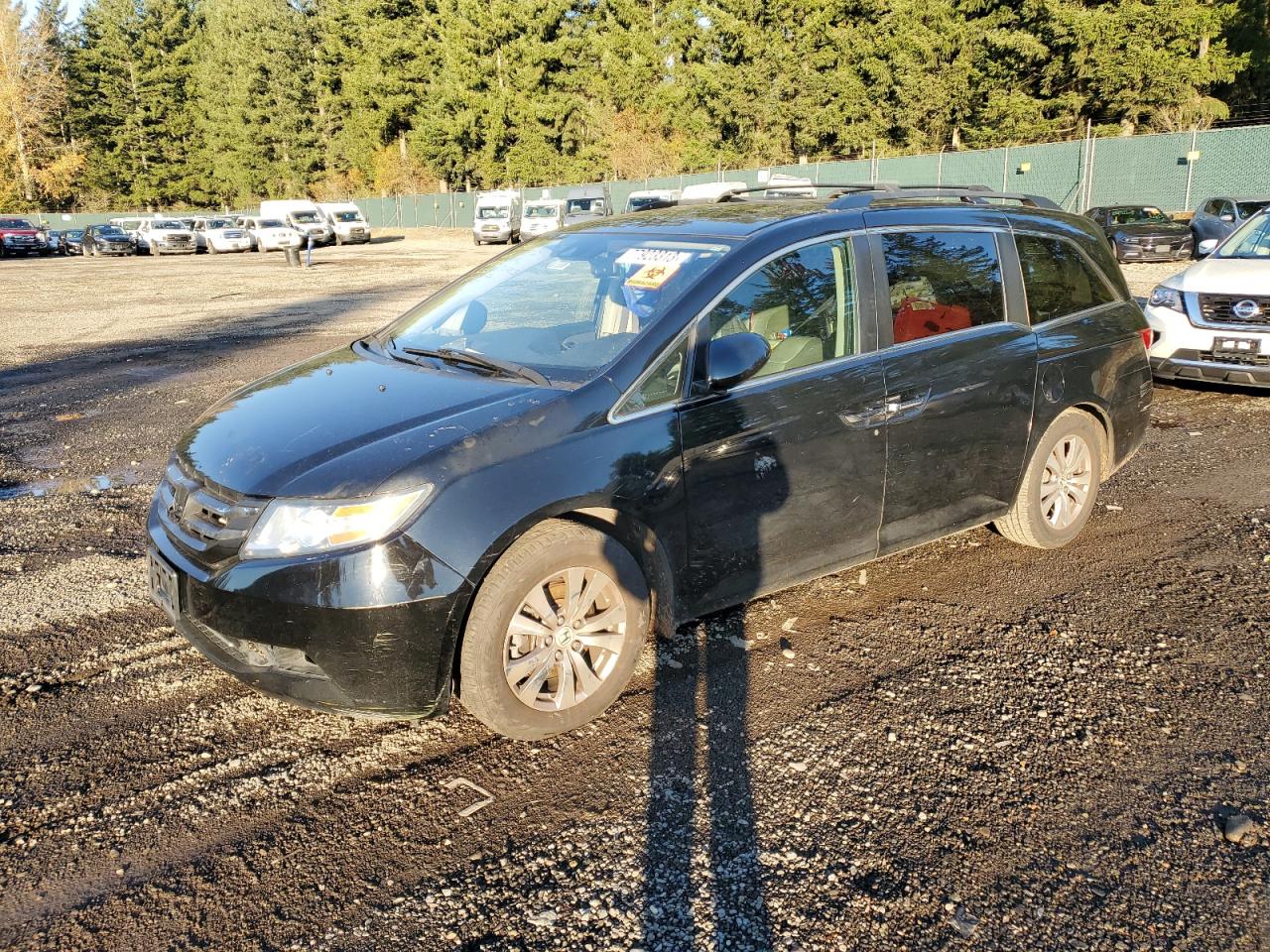 2014 HONDA ODYSSEY EXL 2014 image