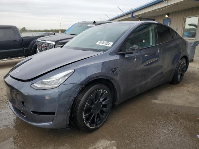 2023 TESLA MODEL Y  2023 image