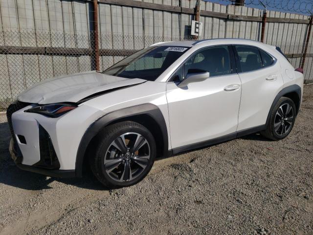 2019 LEXUS UX 200 2019 image