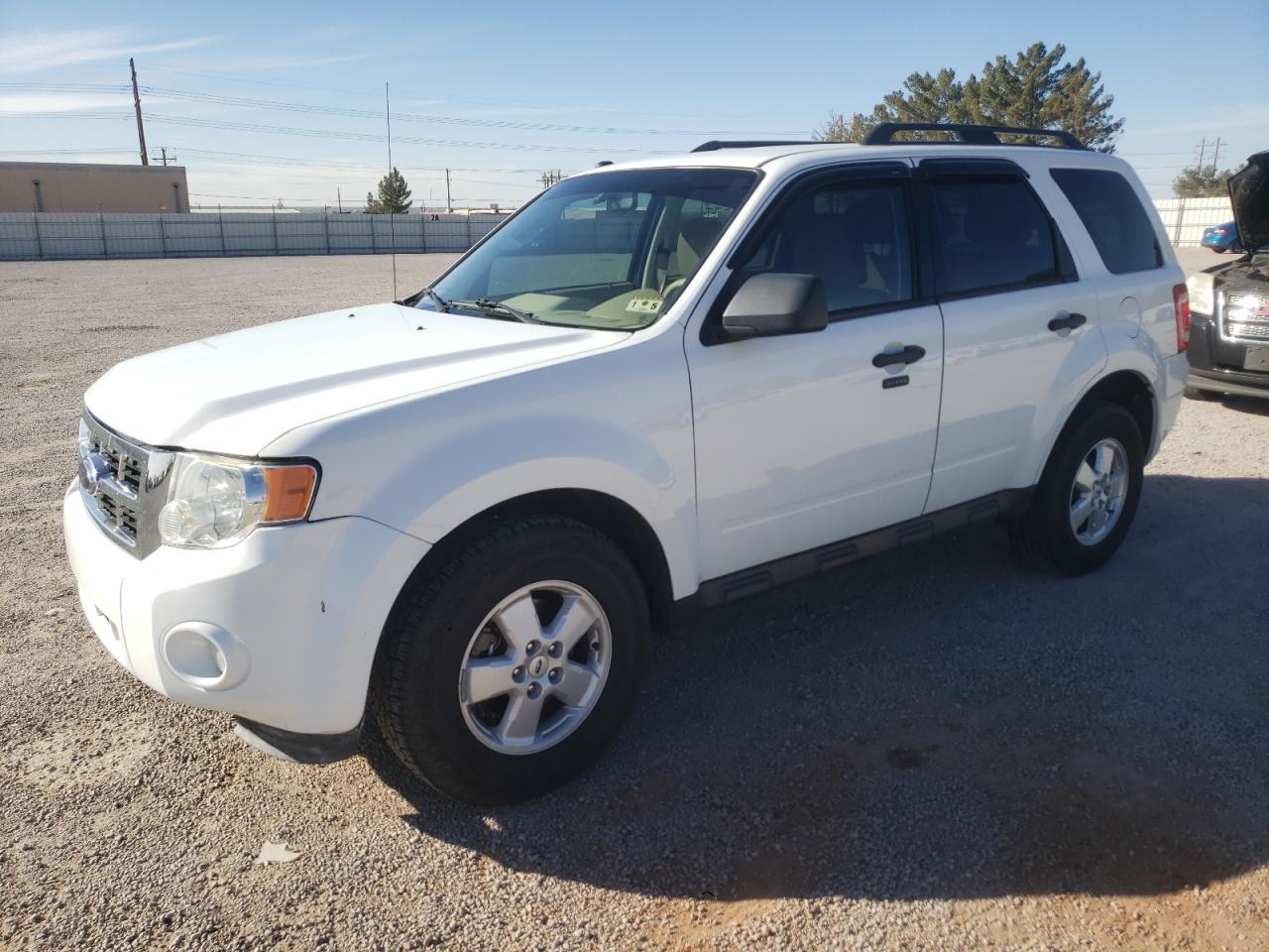 Obraz 2010 FORD ESCAPE XLT 2010