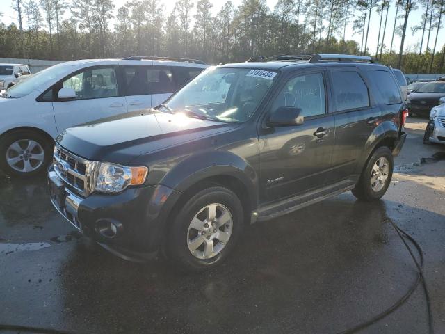 2010 FORD ESCAPE HYBRID 2010 image