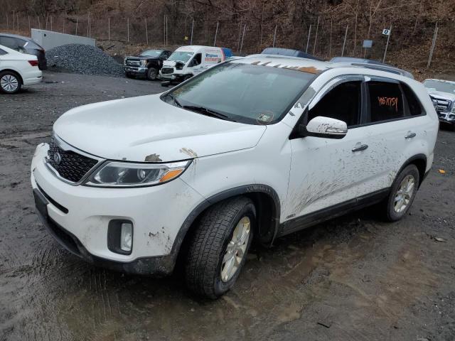 Image 1 of 2014 KIA SORENTO LX 2014 with VIN 5XYKTCA68EG439792