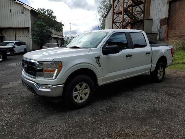 Image 1 of 2021 FORD F150 SUPERCREW 2021 with VIN 1FTFW1E54MFA71384