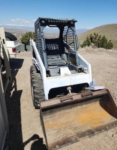 Obraz 1989 BOBCAT                      643 1989