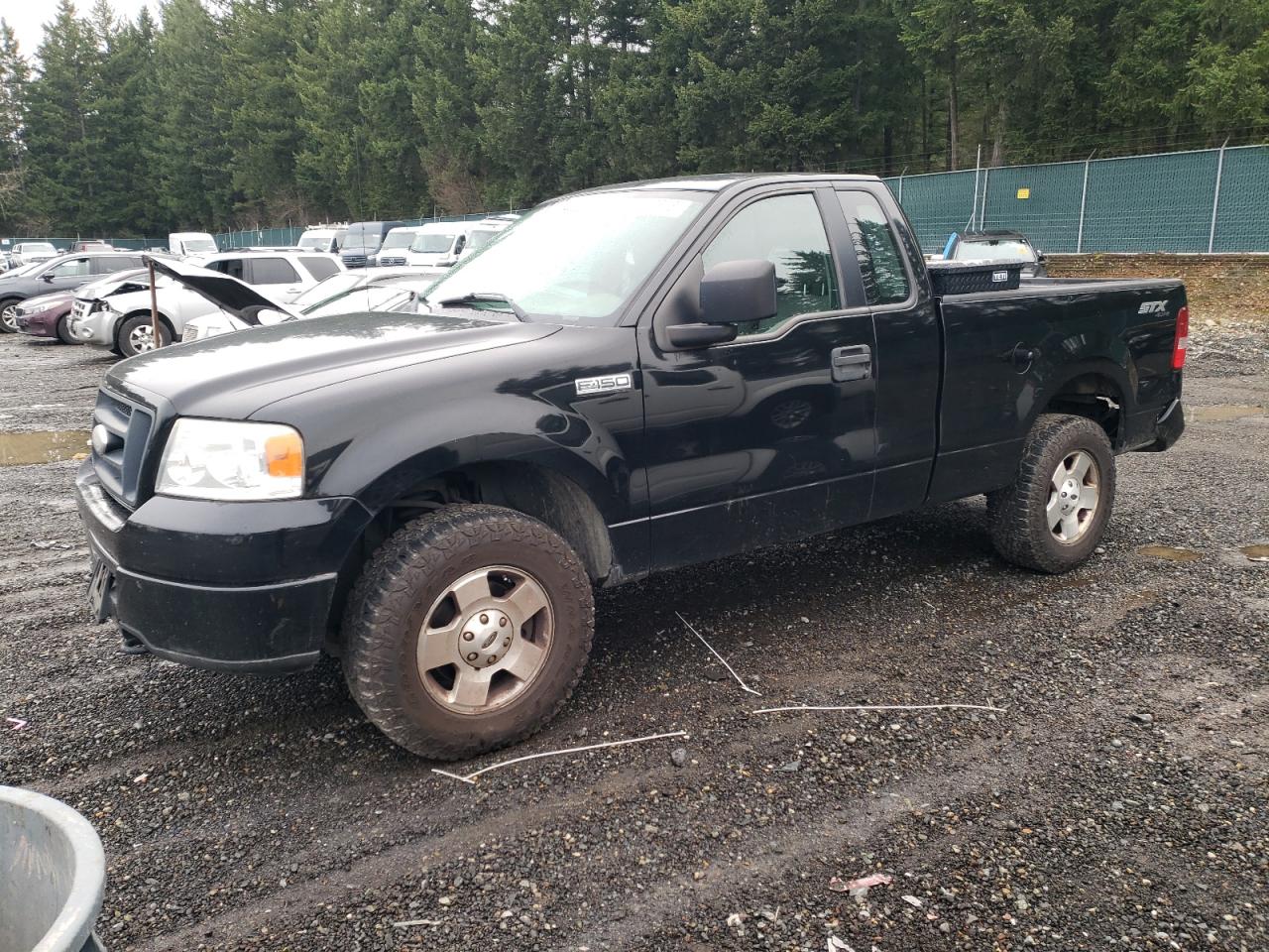 Obraz 2006 FORD F150  2006