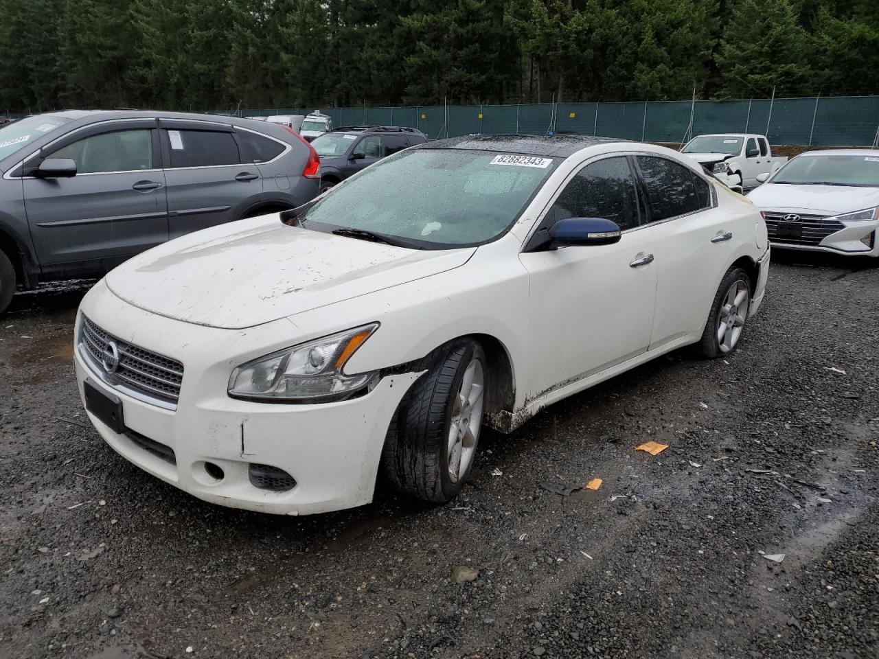 Изображение 1 2010 NISSAN MAXIMA S 2010 с VIN 1N4AA5AP4AC823479