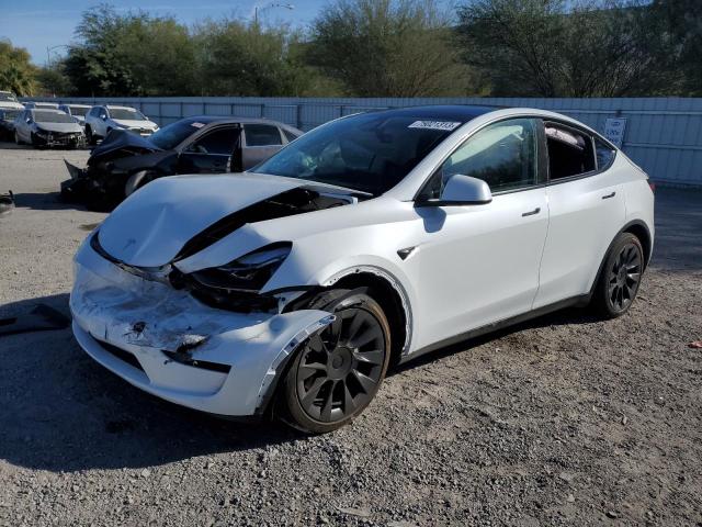 2023 TESLA MODEL Y  2023 image