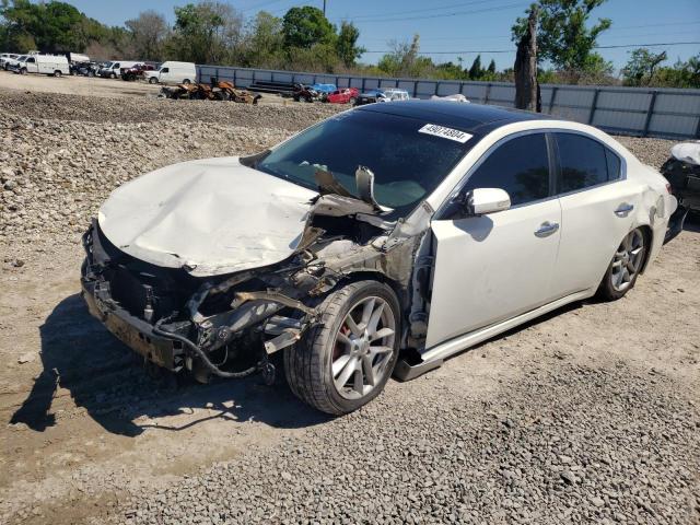 2010 NISSAN MAXIMA S 2010 image