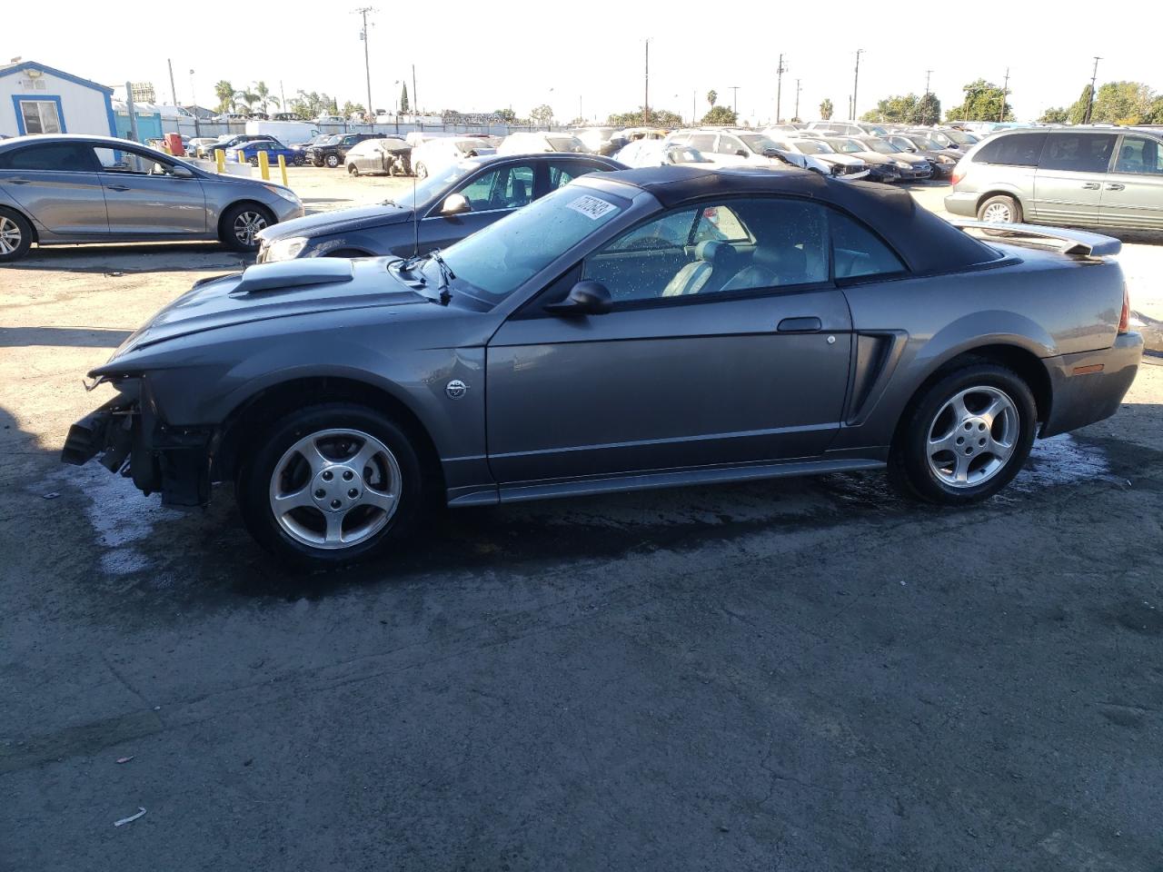 2004 FORD MUSTANG  2004 image